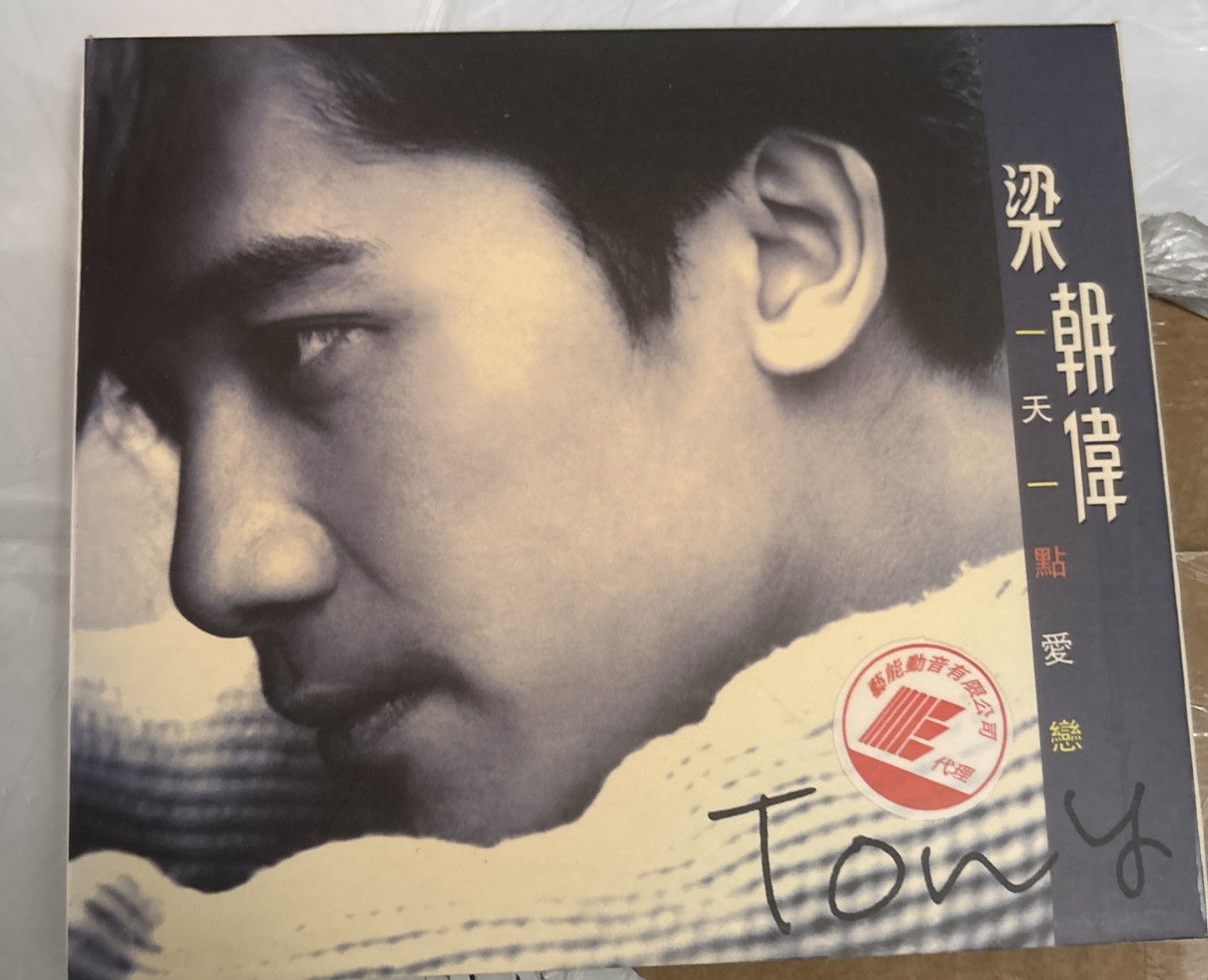 Tony Leung 梁朝偉 一天一點愛戀 CD (1993) + Lyric Booklet Foldout