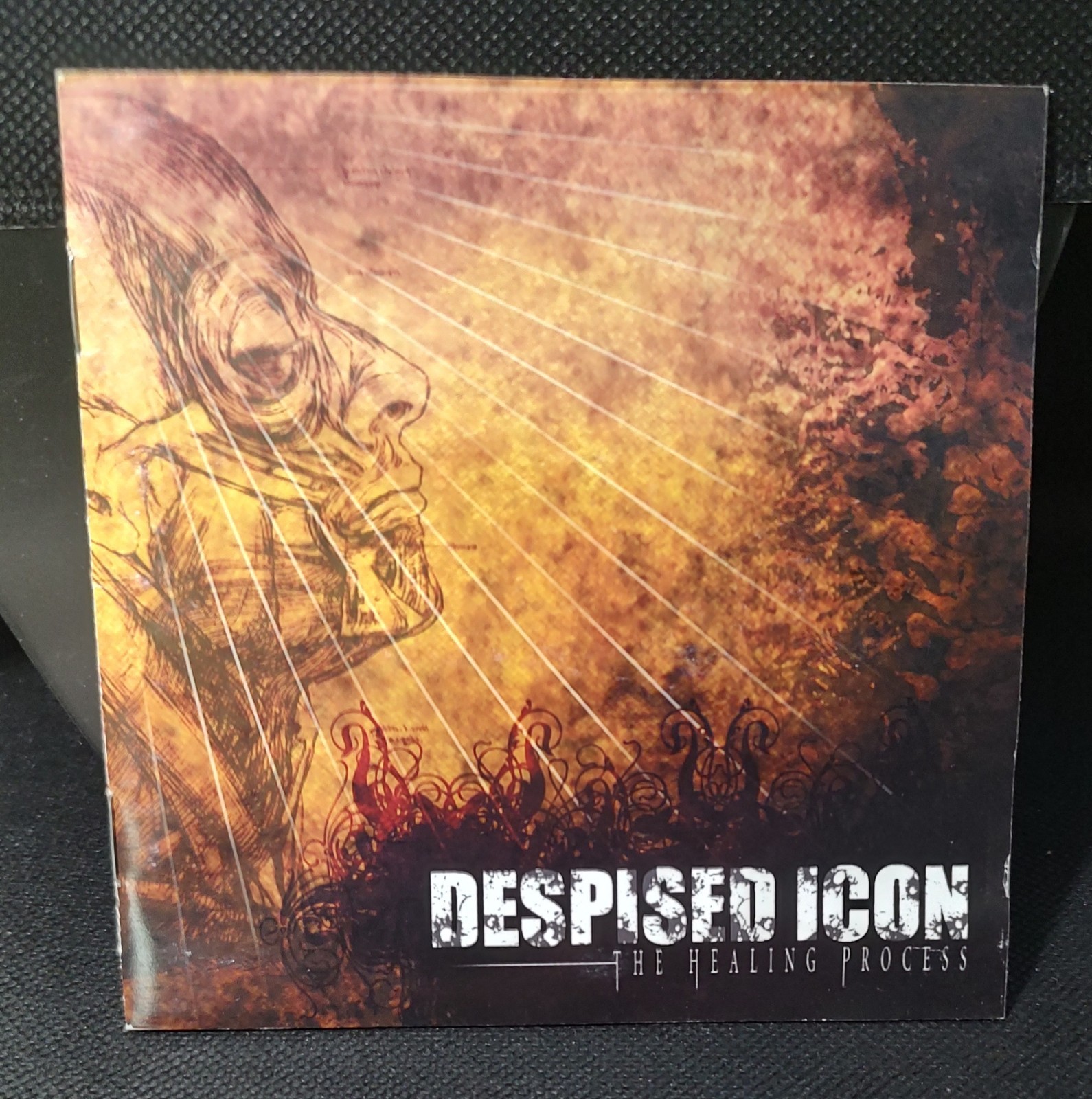 DESPISED ICON, The Healing Process. METAL CD FROM 2005